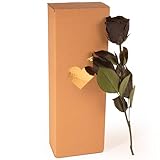 Ewige Rose Schwarz - echte ewige Rose mit Stiel 30-35cm lang haltbar 3 Jahre - Blumen schwarze Deko Geschenke für Frauen zum Geburtstag - Beste Freundin Geschenke (Schwarz)