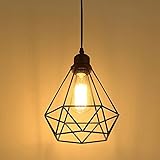 Vintage Pendelleuchte Hängelampe Käfig Hängende Lampe, E27 Lampen fassungstyp, Retro Lampenschirm Licht für Küche,Stab,Wohnzimmer