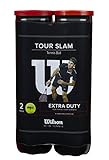 Wilson Unisex Tour Slam 4 Tennis Ball Can 2 pack, Yellow, NS EU