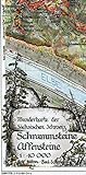 Schrammsteine·Affensteine 1 : 10 000: Lichtenhainer Wasserfall - Großer Winterberg. Wanderkarte der Sächsischen Schweiz