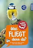 Was fliegt denn da? Kindernaturführer: 85 heimische Vogelarten und ihre Gesänge