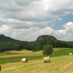 Bärensteine in der Sächsischen Schweiz.